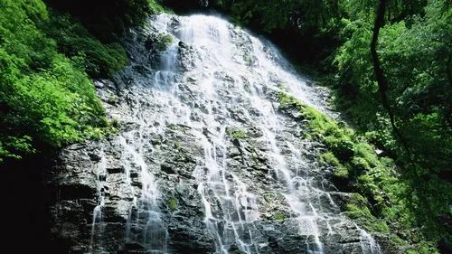 绿色精密